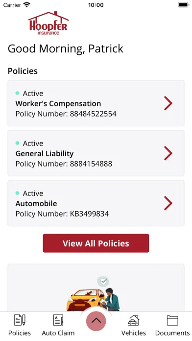 Hoopfer Insurance Online Ekran Görüntüleri