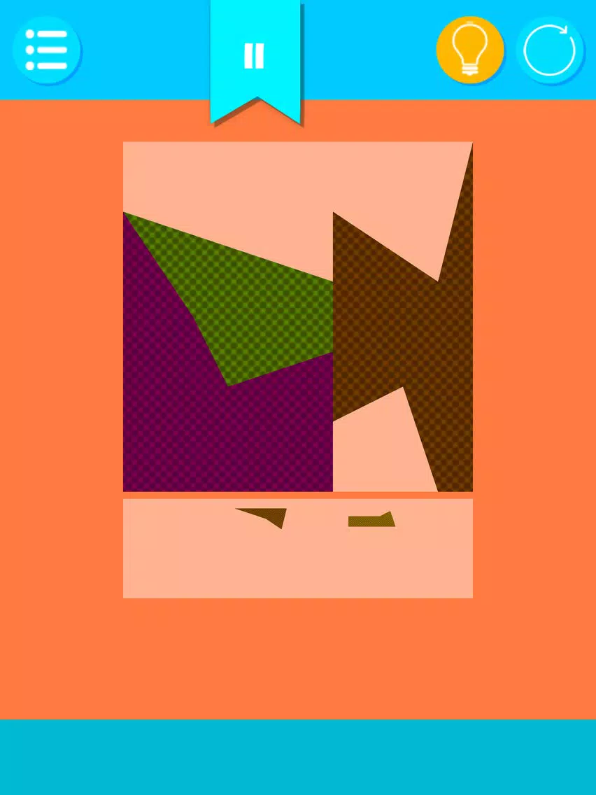 Polygon Puzzles iPad  Screenshots