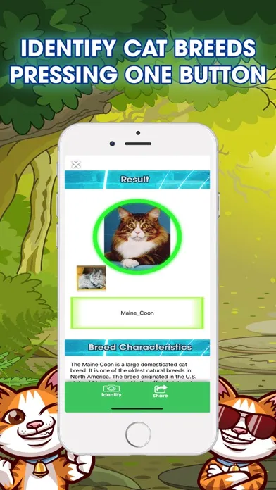 Cat Breeds Identifier PRO Screenshots