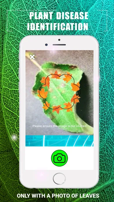 Plants Disease Identification Screenshots