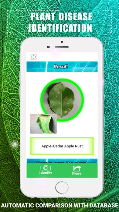 Plants Disease Identification Screenshots