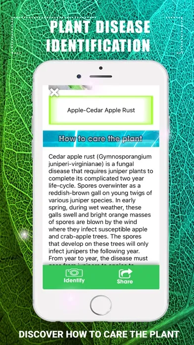 Plants Disease Identification Screenshots