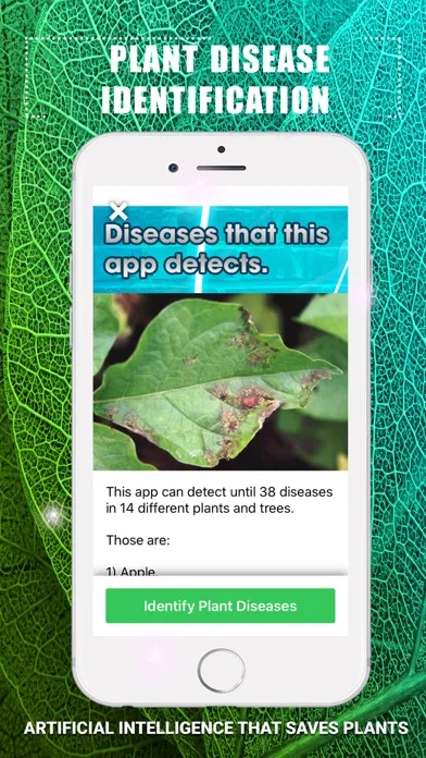 Plants Disease Identification Screenshots