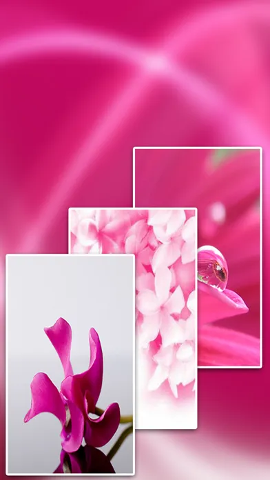 Full HD Pink Wallpapers Ekran Görüntüleri