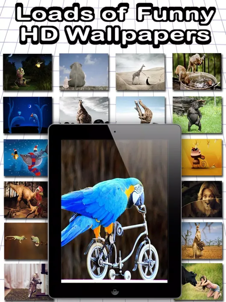 Ảnh chụp màn hình của HD Funny Wallpapers iPad 