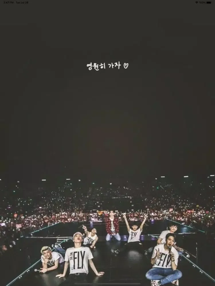 HD Wallpapers For BTS iPad 应用截图