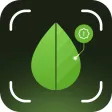 Plant Identifier & Care Pro