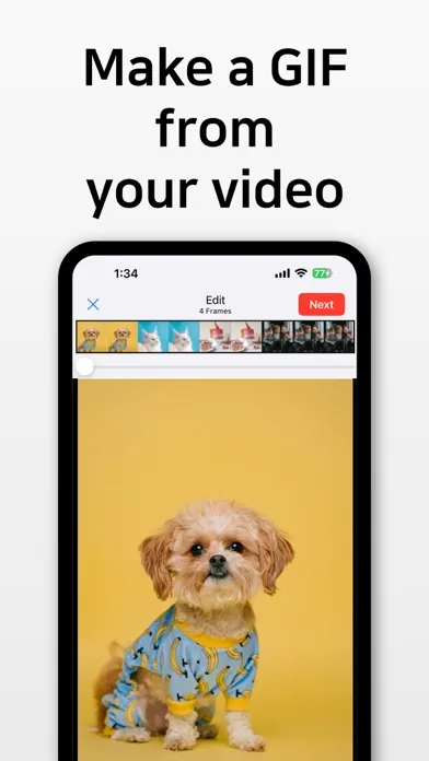 ภาพหน้าจอของ GIF Toaster - GIF Maker