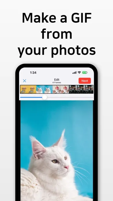 ภาพหน้าจอของ GIF Toaster - GIF Maker