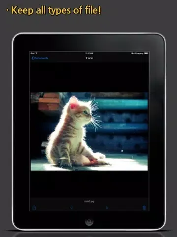 AirUSB (Wireless Flash Drive) iPad  Screenshots