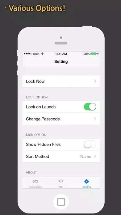 AirUSB (Wireless Flash Drive) Screenshots