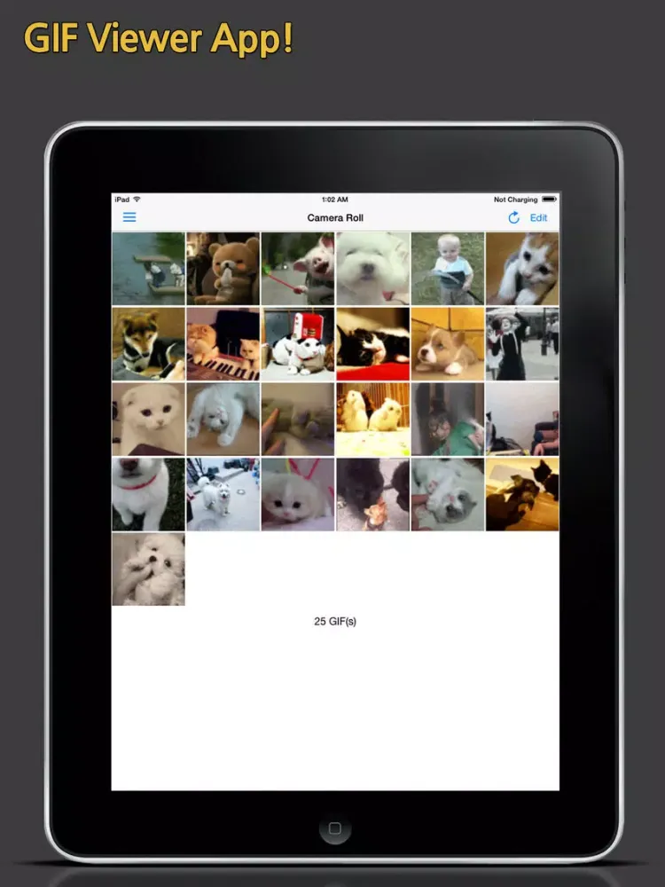 GIF Show Pro - GIF Viewer and Album iPad  स्क्रीनशॉट