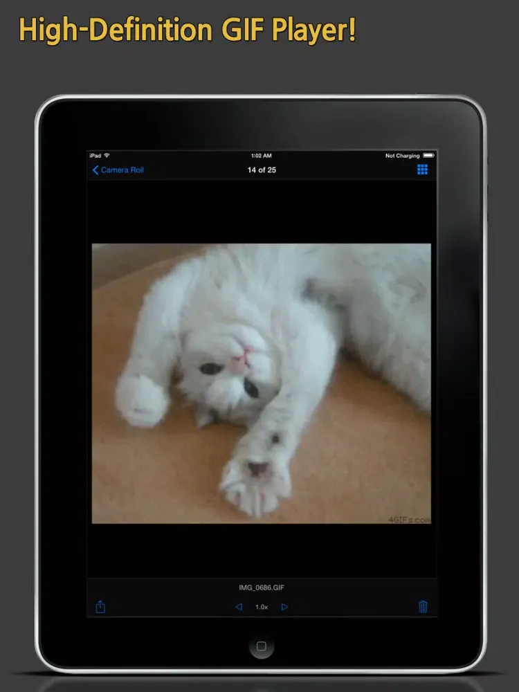 GIF Show Pro - GIF Viewer and Album iPad  स्क्रीनशॉट