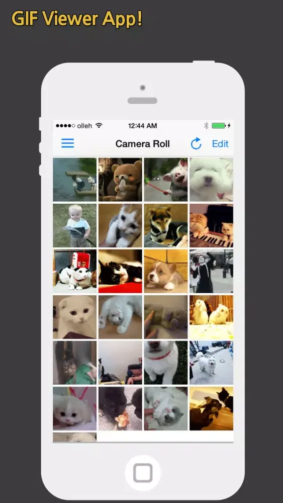 GIF Show Pro - GIF Viewer and Album स्क्रीनशॉट
