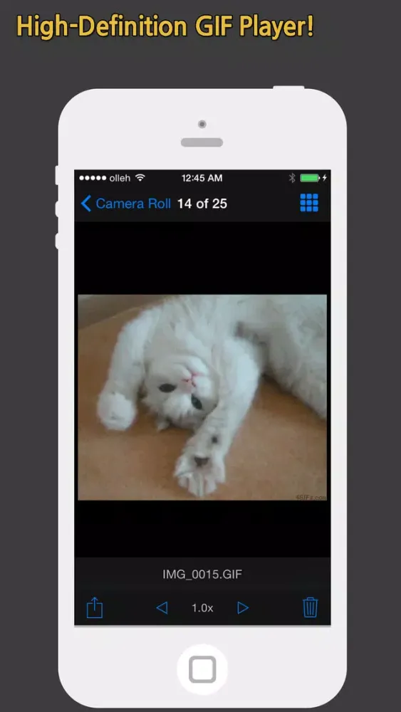 GIF Show Pro - GIF Viewer and Album स्क्रीनशॉट
