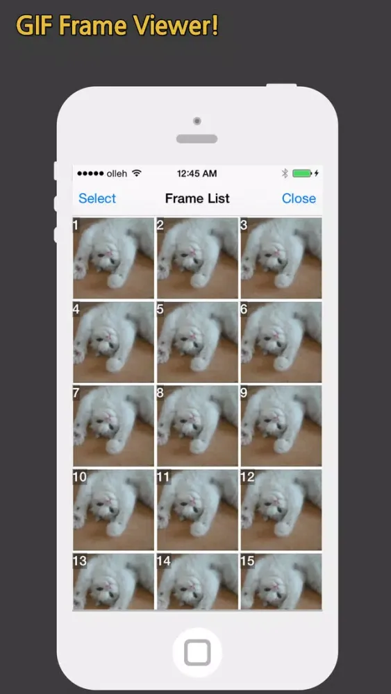 GIF Show Pro - GIF Viewer and Album स्क्रीनशॉट