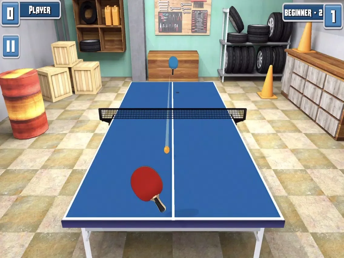 Amazing Ping Pong iPad  Screenshots