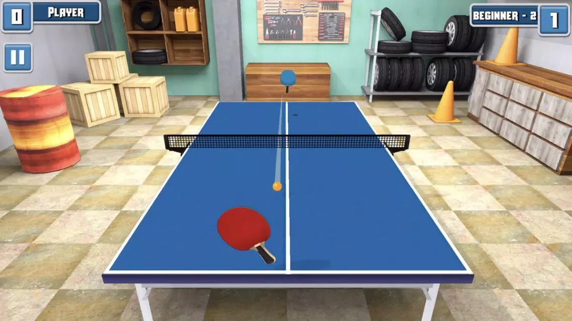 Amazing Ping Pong Screenshots