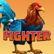 Sabong Fighter