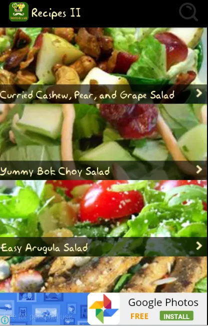 recettes de salade 2016应用截图