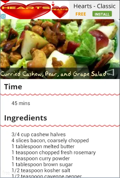 recettes de salade 2016应用截图
