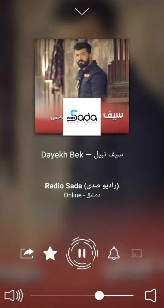 Radio Arabic Screenshots
