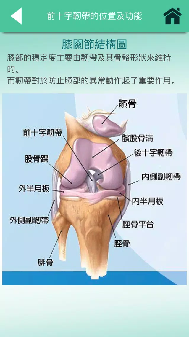 前十字韌帶手術後的護理及康復 স্ক্রিনশট