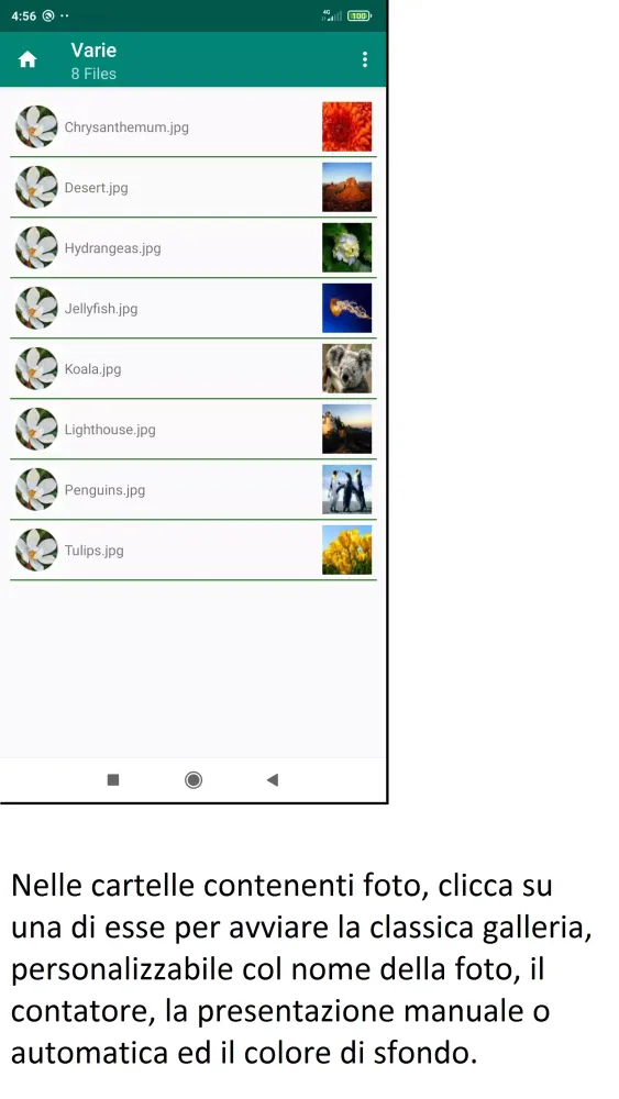 My MeMo 스크린샷