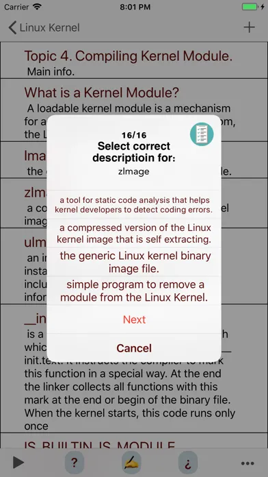 Tangkapan skrin Linux Kernel Interview
