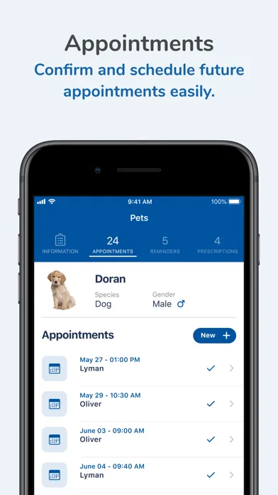 Zrzuty ekranu Brandon Lakes Animal Hospital