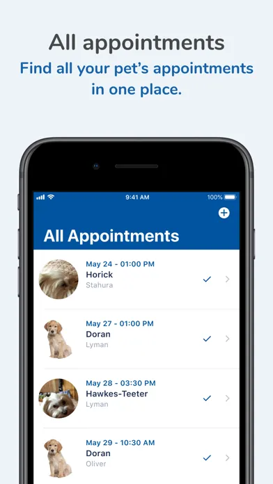 Zrzuty ekranu Brandon Lakes Animal Hospital