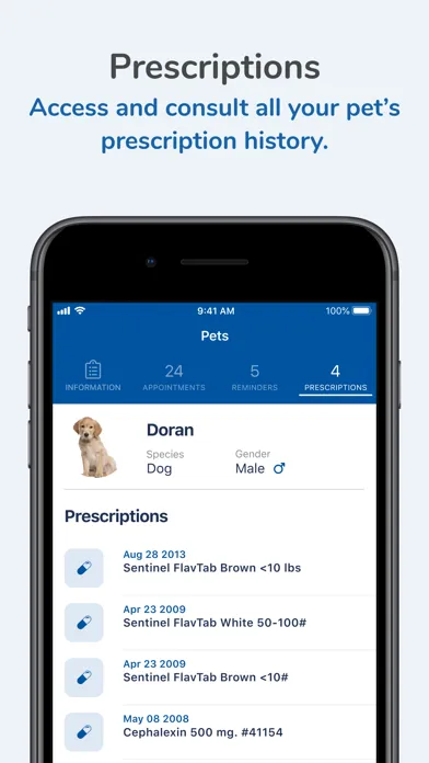 Zrzuty ekranu Brandon Lakes Animal Hospital