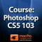 Course For Photoshop Adding Text To Images