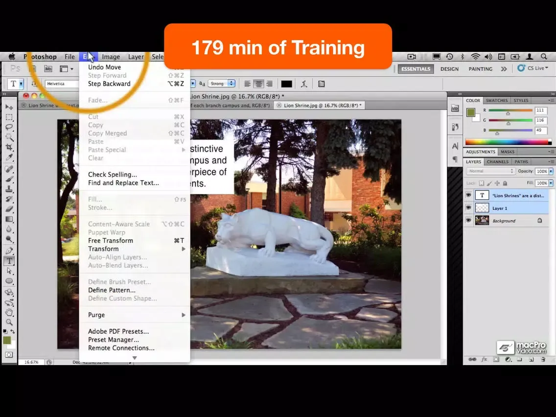 Course For Photoshop Adding Text To Images iPad 應用截圖