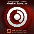 Essentials Course For MASSIVE