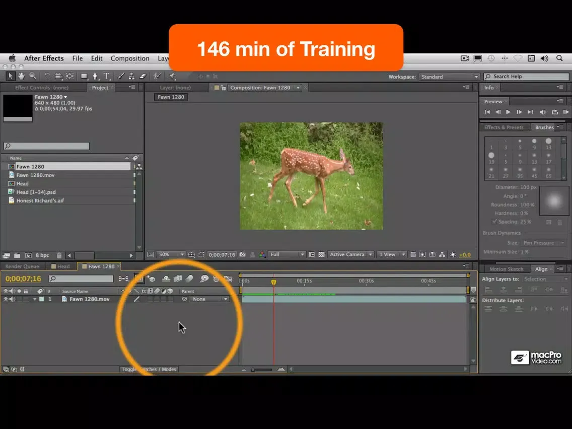 تصاویر Cartoon Animation Course iPad 
