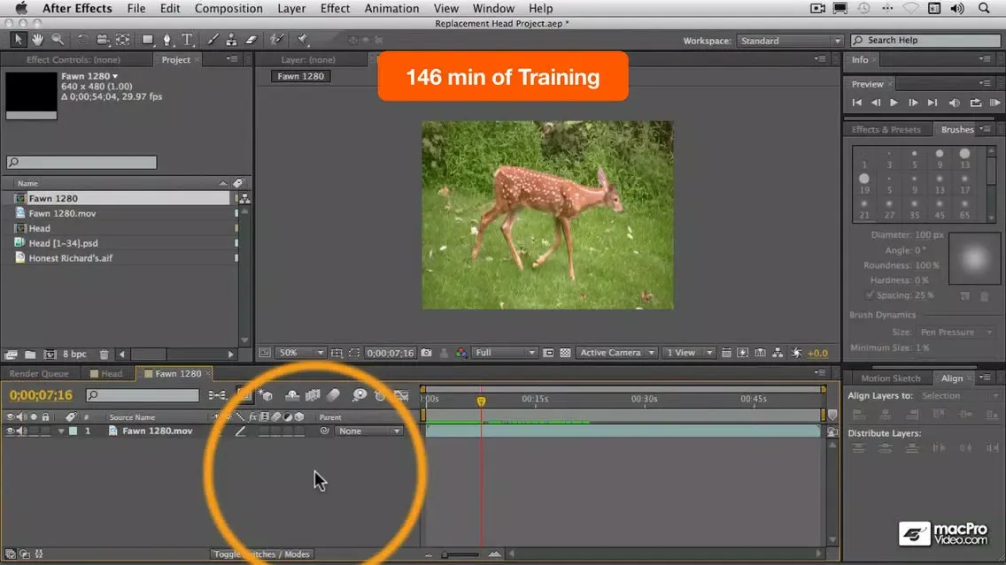 تصاویر Cartoon Animation Course