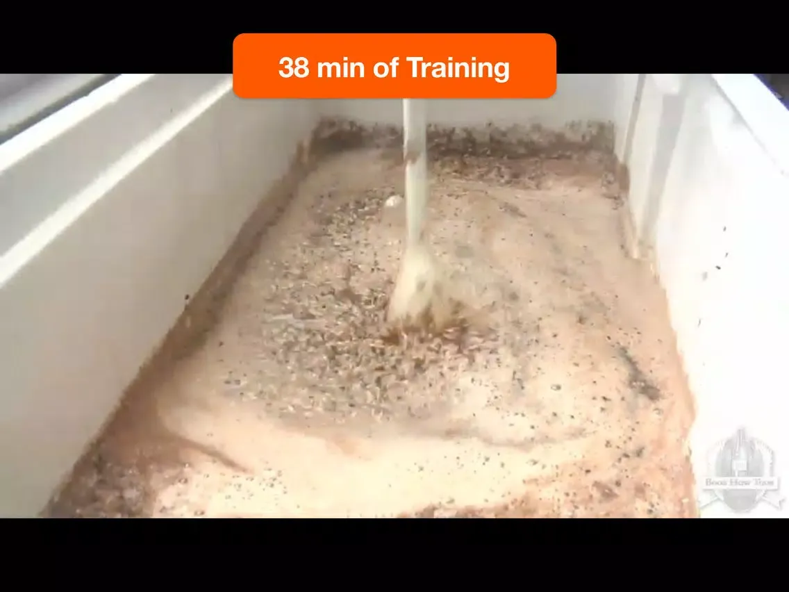 Irish Stout 101 iPad 应用截图