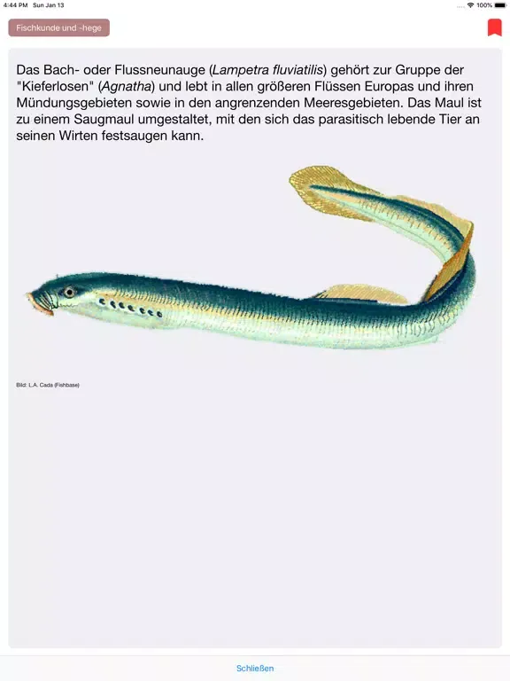 Tangkapan skrin Fischereiprüfung Brandenburg iPad 