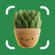 Plant Care: Plant Identifier