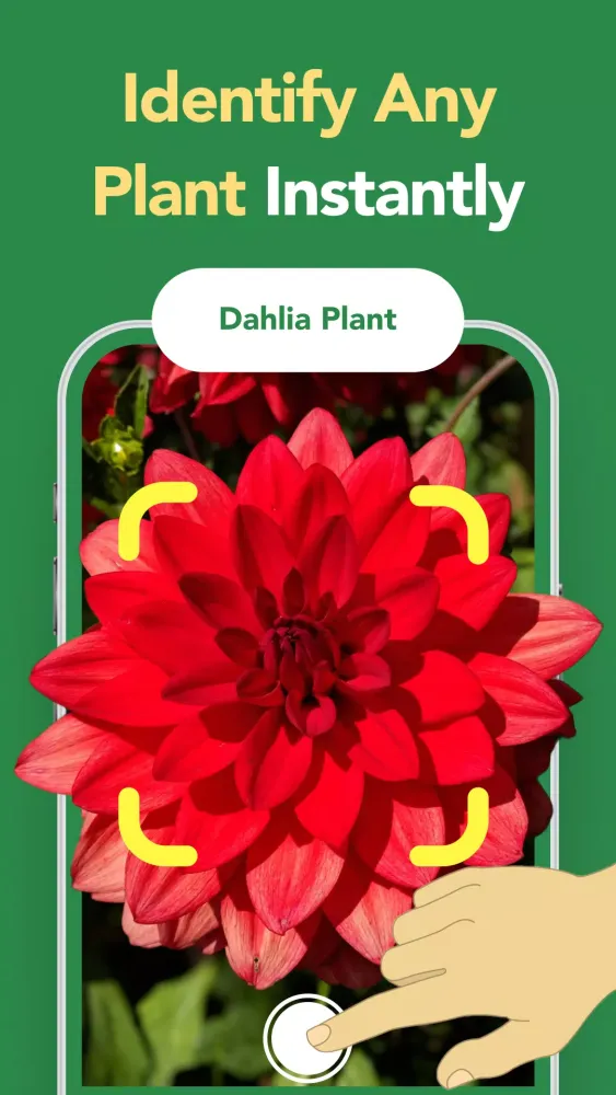 Plant Care: Plant Identifier Screenshots