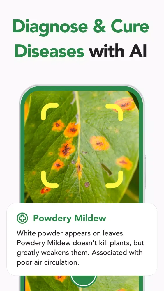 Plant Care: Plant Identifier Screenshots