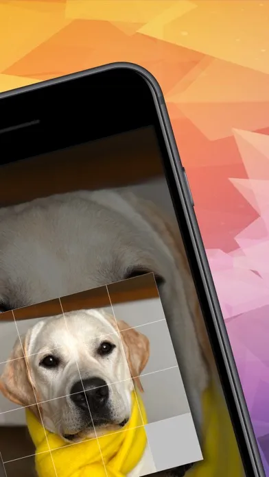 Screenshot di Pieces Game