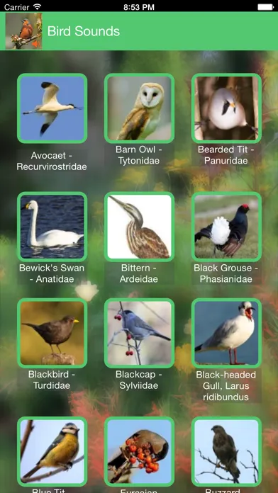 Birds of Britain Sounds应用截图