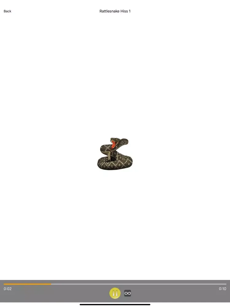 Tangkapan skrin Rattlesnake Sounds and Effects iPad 