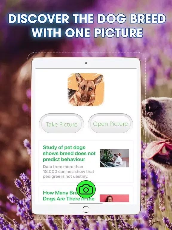 Dog Breeds Identifier iPad 应用截图