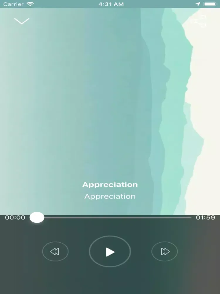 Appreciate U iPad  Ekran Görüntüleri