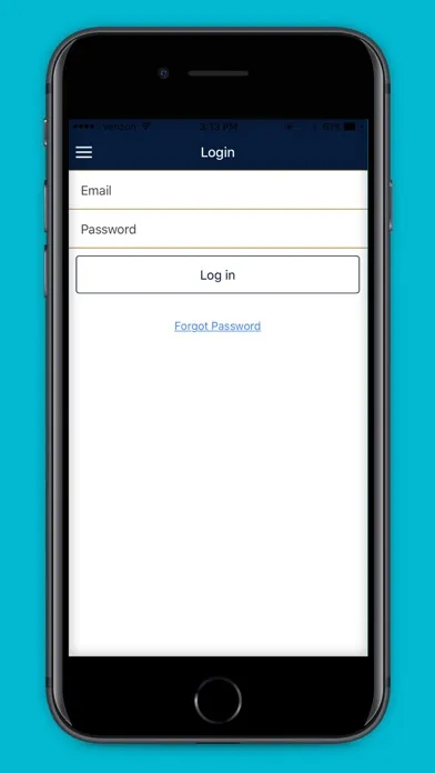 Dasmen Investor Portal Ekran Görüntüleri