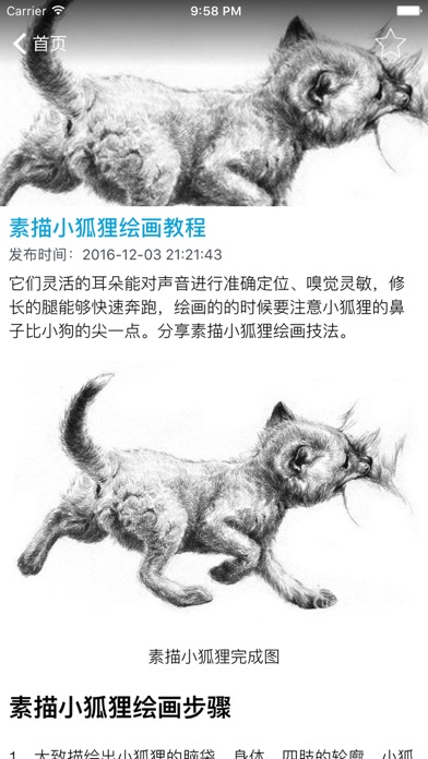 Скриншоты 美术大师-绘画,绘图,素描,美术入门必备神器
