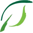 The EarthBalance Leaf The EarthBalance Leaf